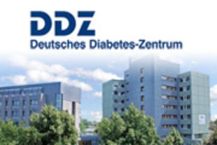 Gebäude des DDZ mit Logo oben imBild