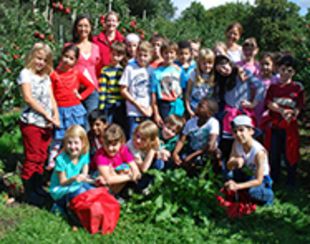 Gruppe der Grundschüler in einem Apfelhain